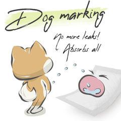 WICKEDPUP absorcion extra para mayor comodidad de tu perro.
