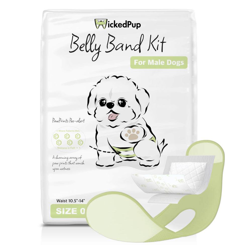 WICKEDPUP banda barriga macho talla0, diseño único para comodidad diaria.