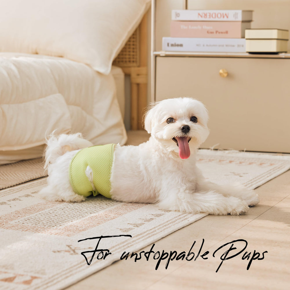 WICKEDPUP conjunto de cuidado para mascotas con diseño patentado.