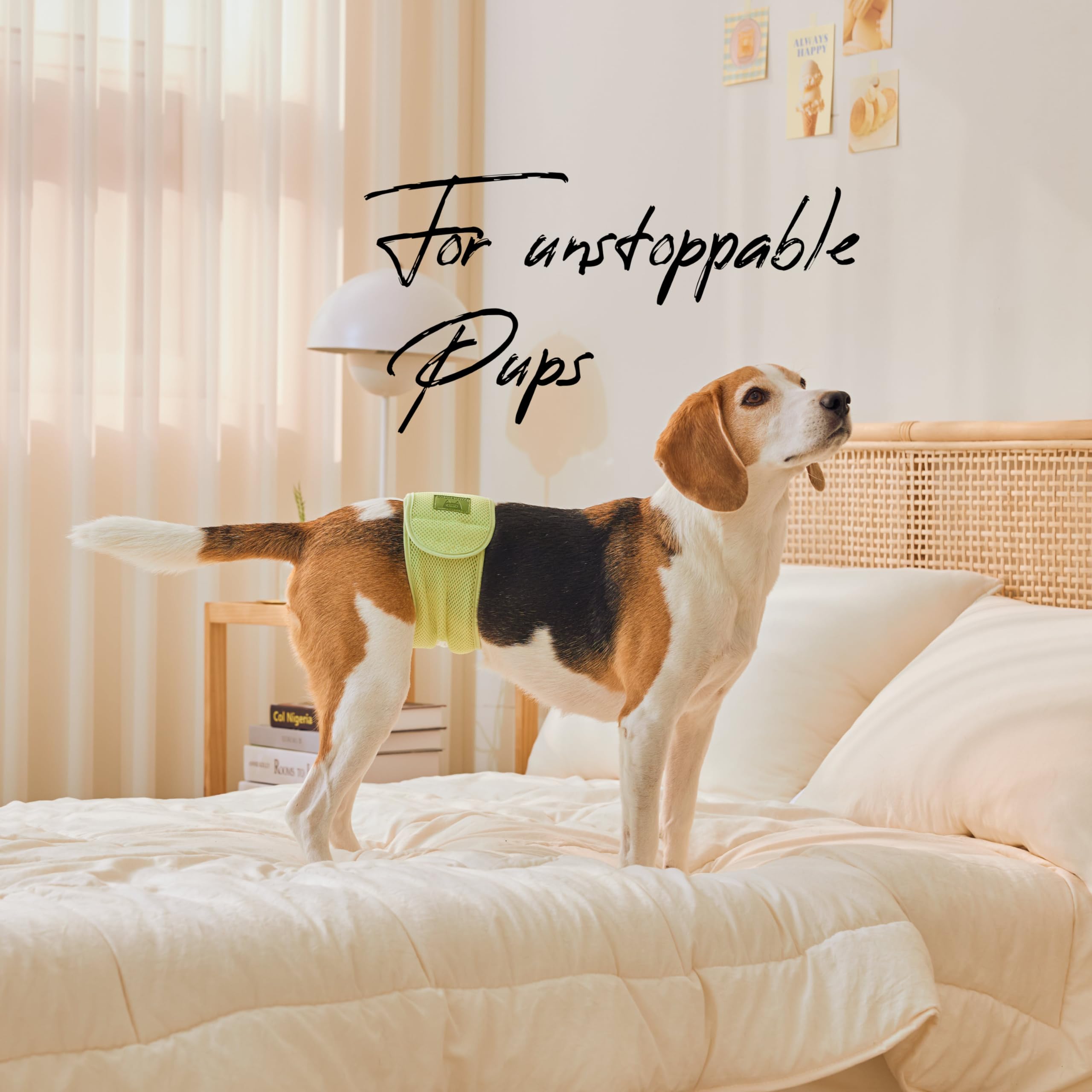 WICKEDPUP diseño patentado ofrece una solución exclusiva para el cuidado del perro.