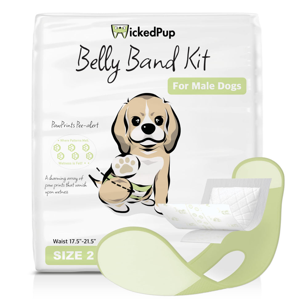 WICKEDPUP kit banda barriga para perro, facilita control diario.
