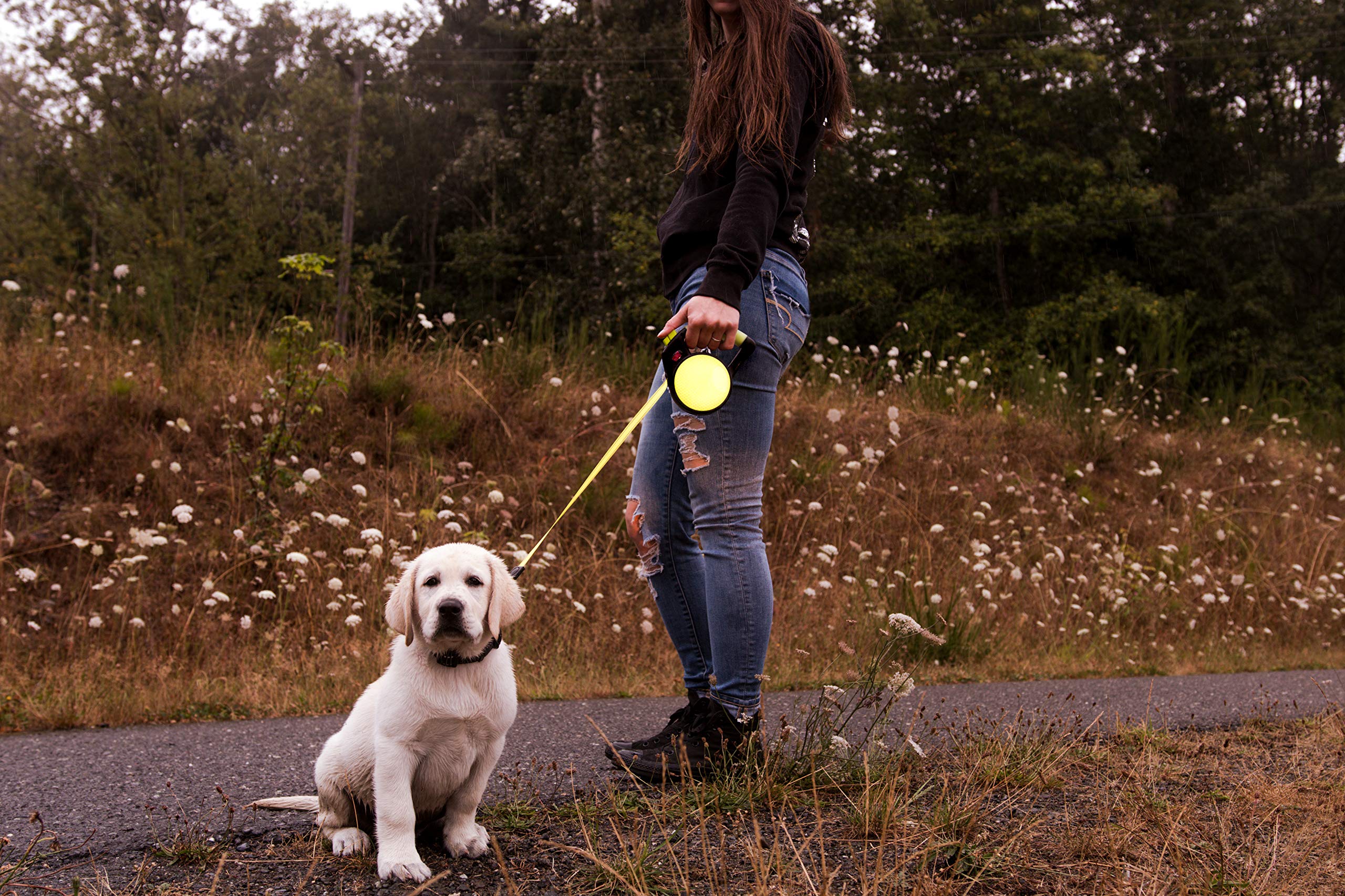 Wigzi tallas disponibles para perros pequenos medianos y grandes