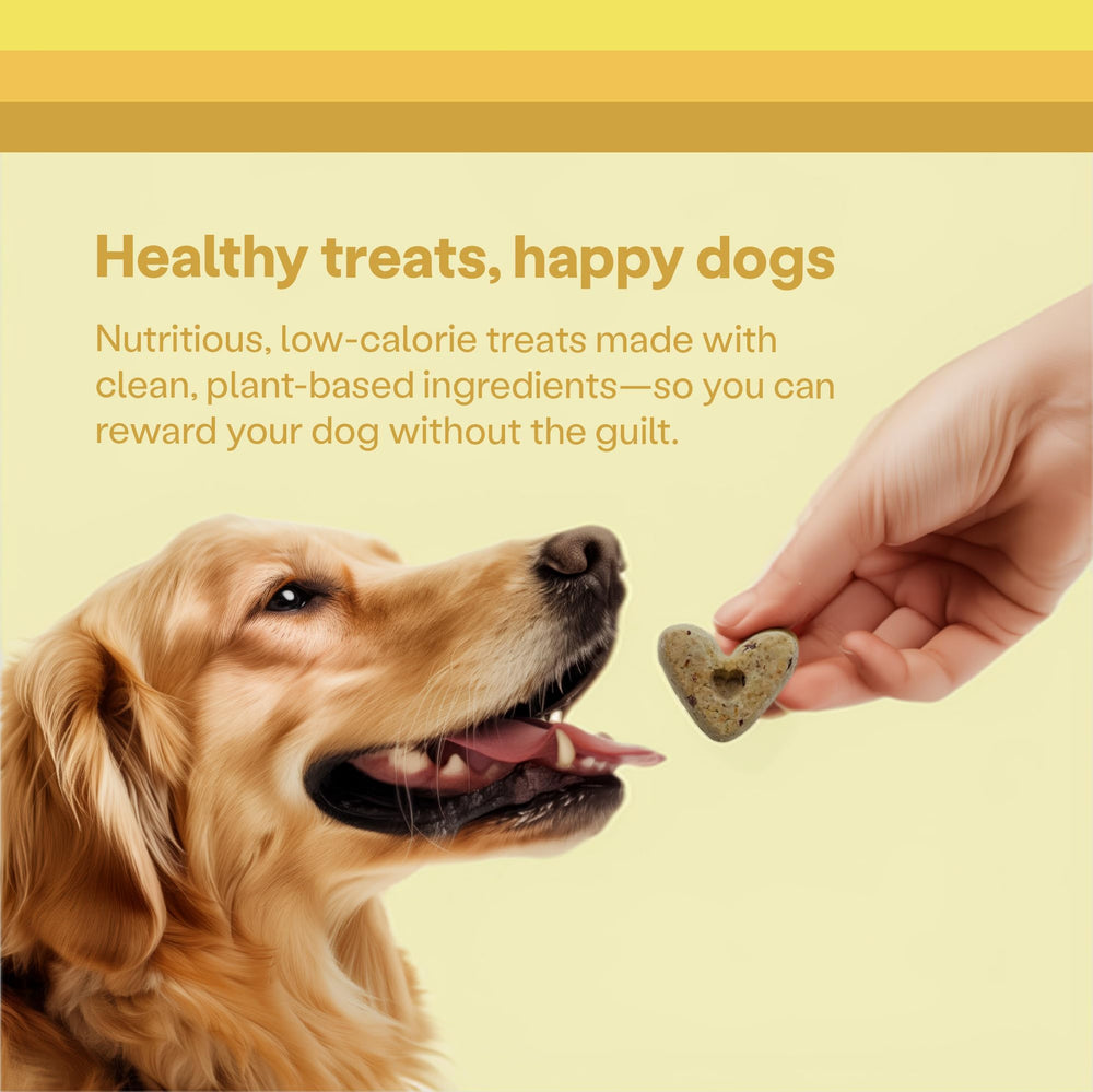 Wild Earth: prebióticos que apoyan la digestión saludable del perro.