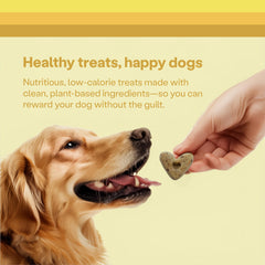 Wild Earth: prebióticos que apoyan la digestión saludable del perro.