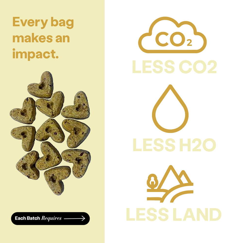 Wild Earth: opción sostenible, menos recursos que snacks cárnicos.