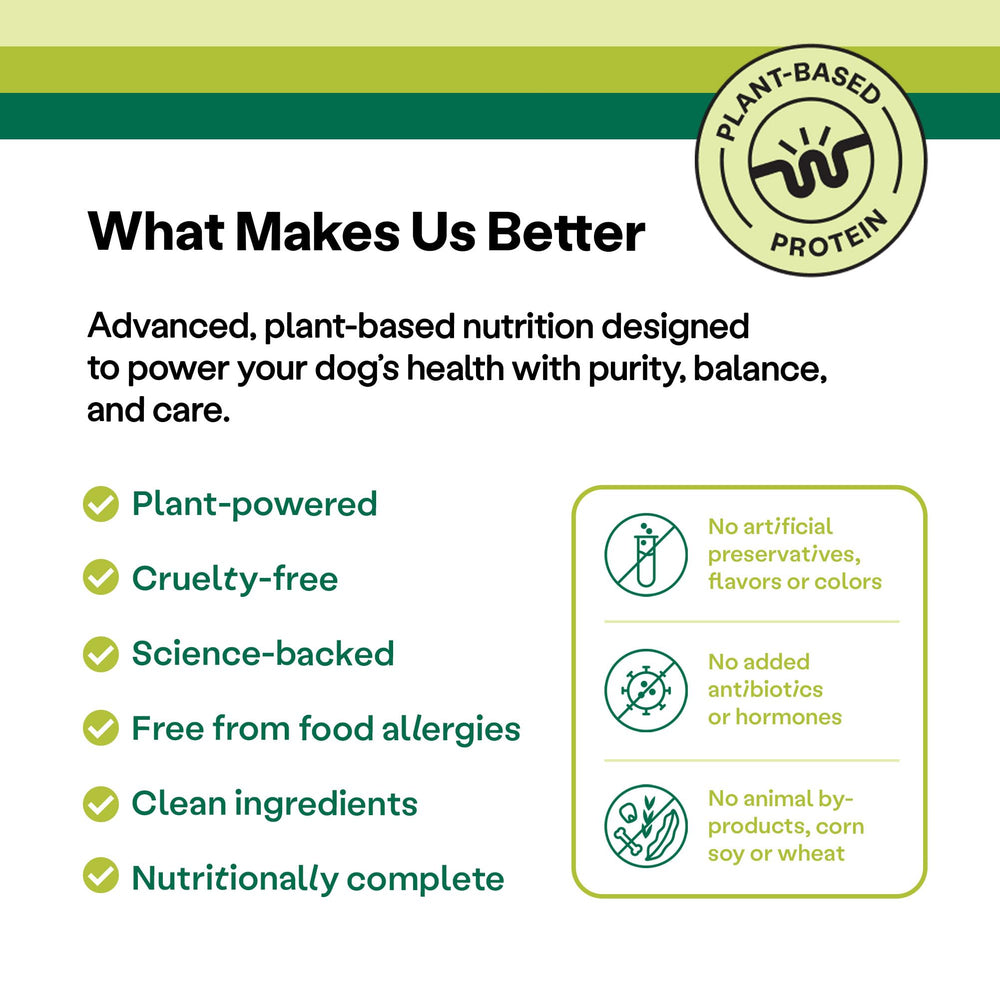 Wild Earth Vegan proteína 28% para perros activos