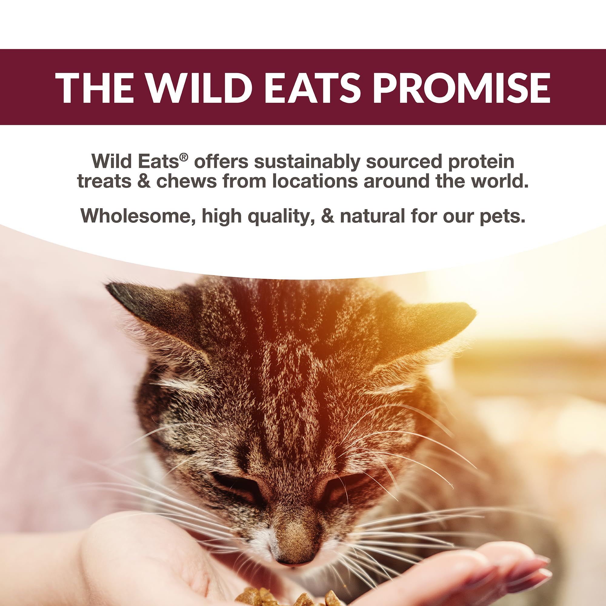 Wild Eats experiencia exótica de sabores para gatos curiosos.