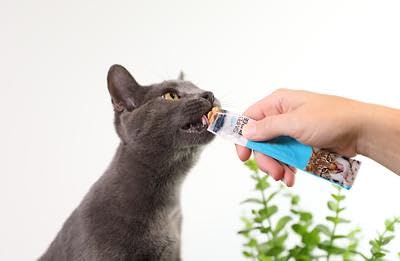 Wild Eats fortaleciendo el vinculo gato-humano durante la cena.