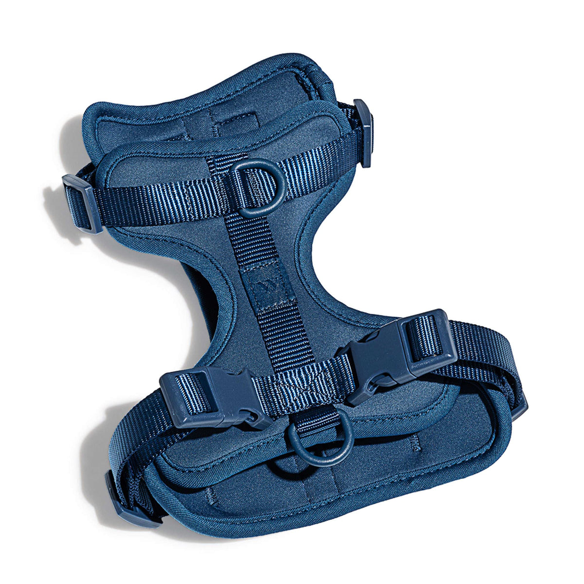 Arnés Wild One 2.0 azul mediano, vista frontal suave para paseos diarios.