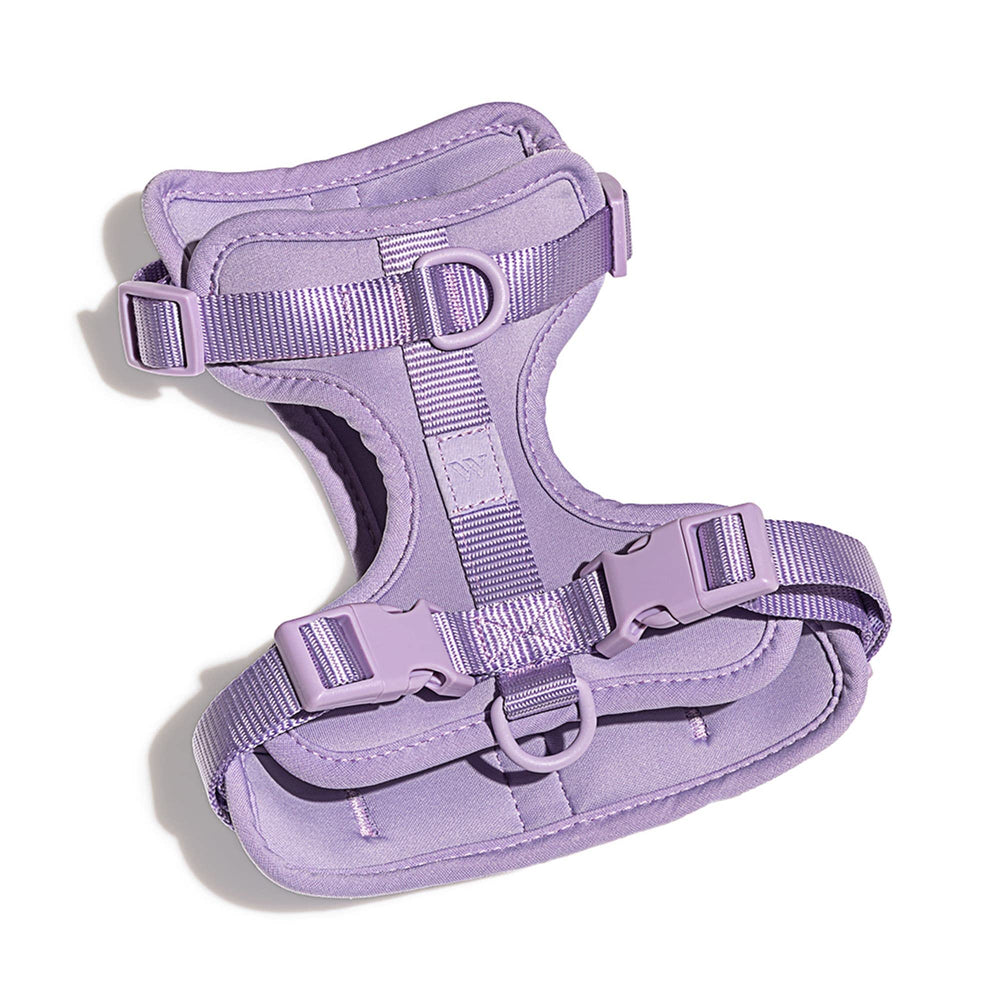 Wild One arnes 2.0 mediano lila: ajuste cuello cómodo para todas las tallas.