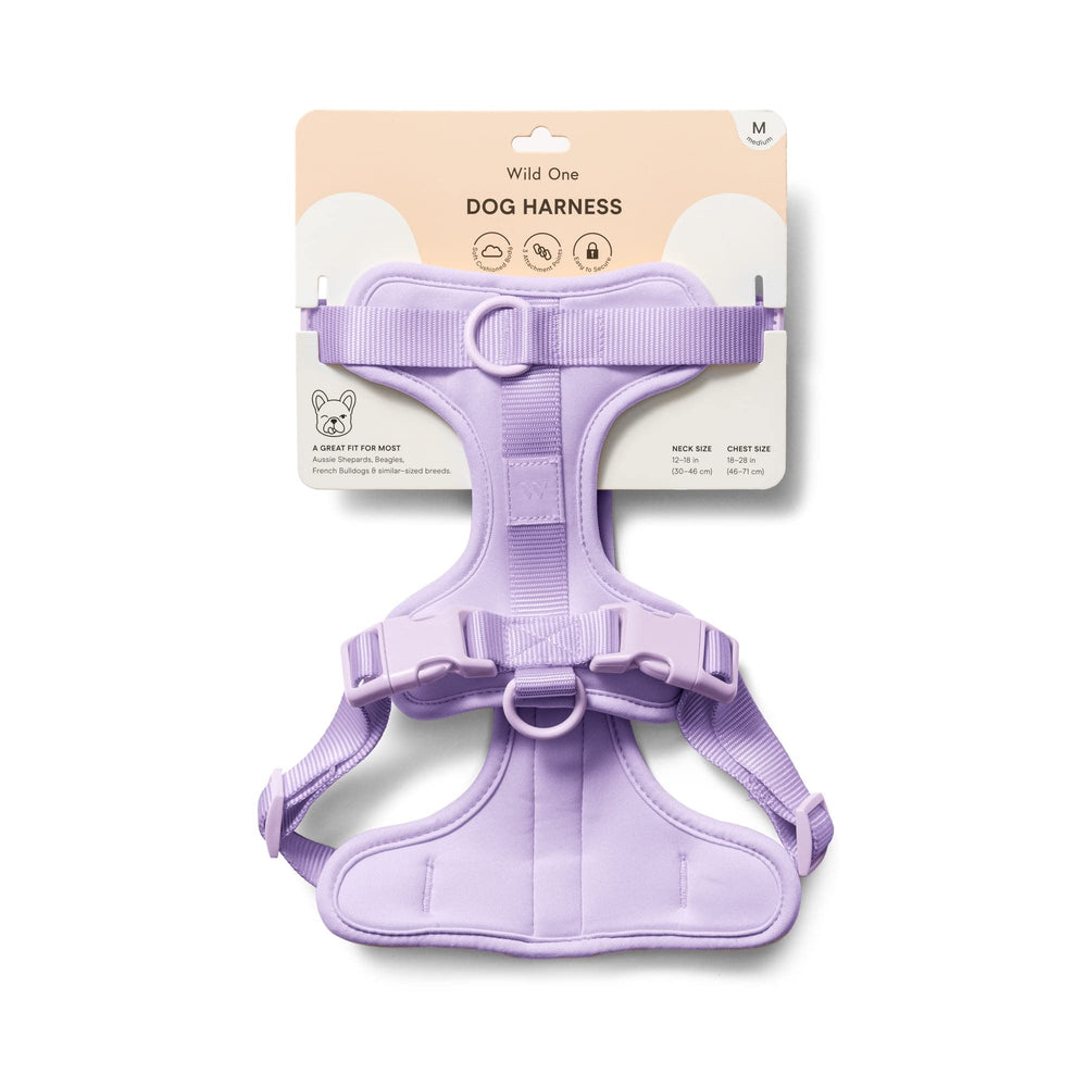 Wild One arnes 2.0 mediano lila: color vibrante para uso diario.