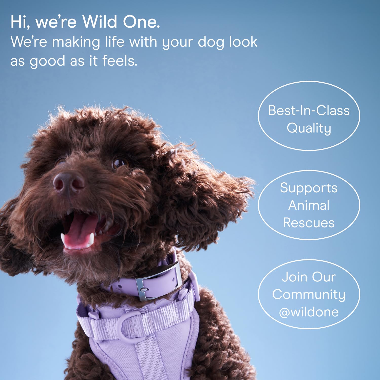 Wild One: libre de crueldad y veganas para cuidado responsable.