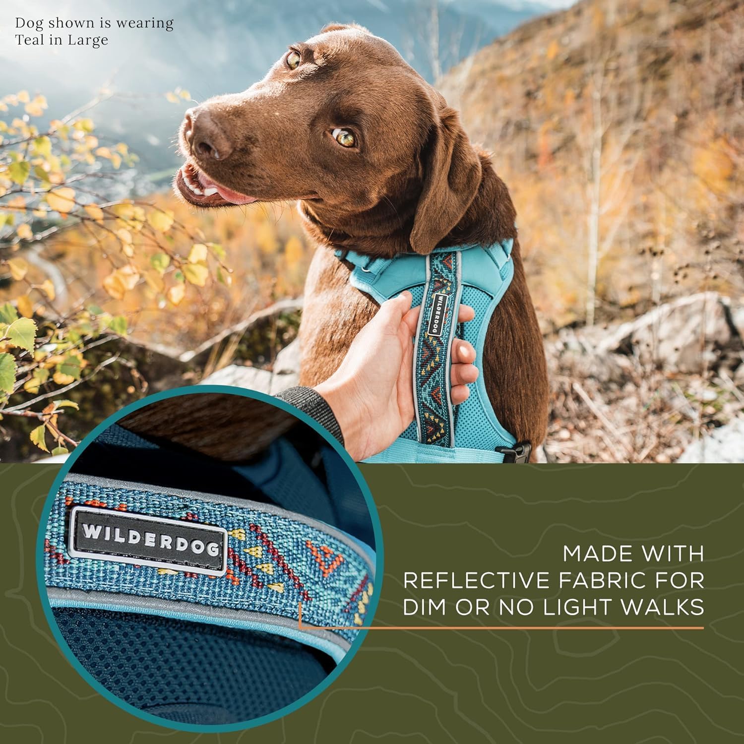 Arnés Wilderdog con asa superior para asistencia rápida al subir obstáculos.