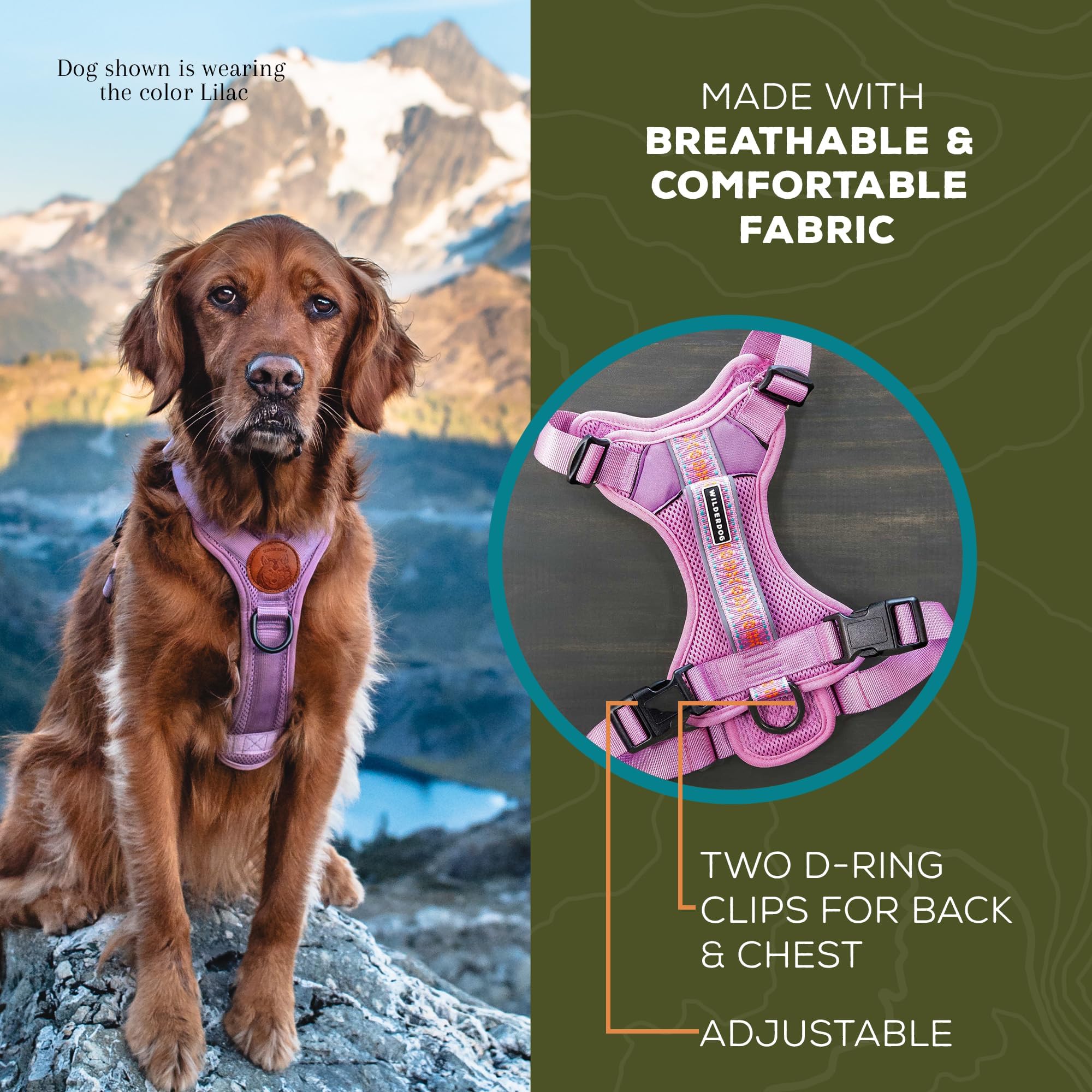 Wilderdog arnés con asa superior para asistencia cercana.