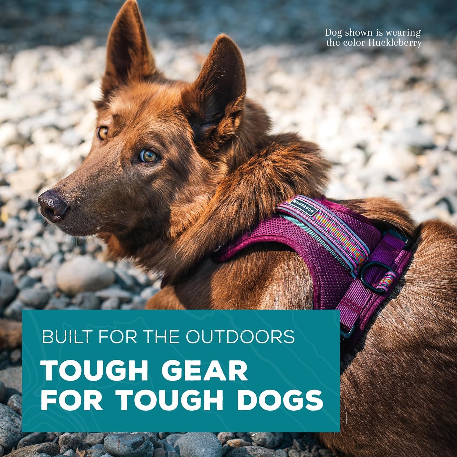 Arnés Wilderdog con anilla en D trasera para mayor estabilidad