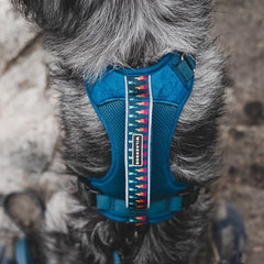 Arnés Wilderdog ligero y reflectante visto de dorso para mayor visibilidad trasera.