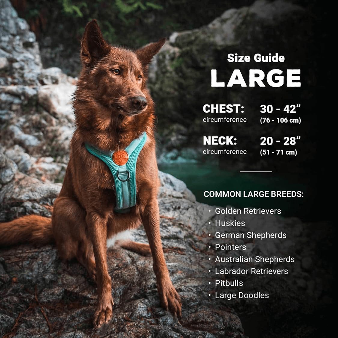 Wilderdog arnés reflectantes para mayor visibilidad en rutas oscuras.