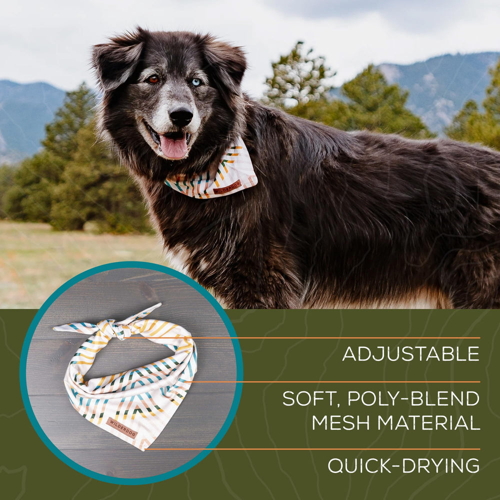 Bandana Wilderdog 18x18 para perro, diseño práctico y cómodo.