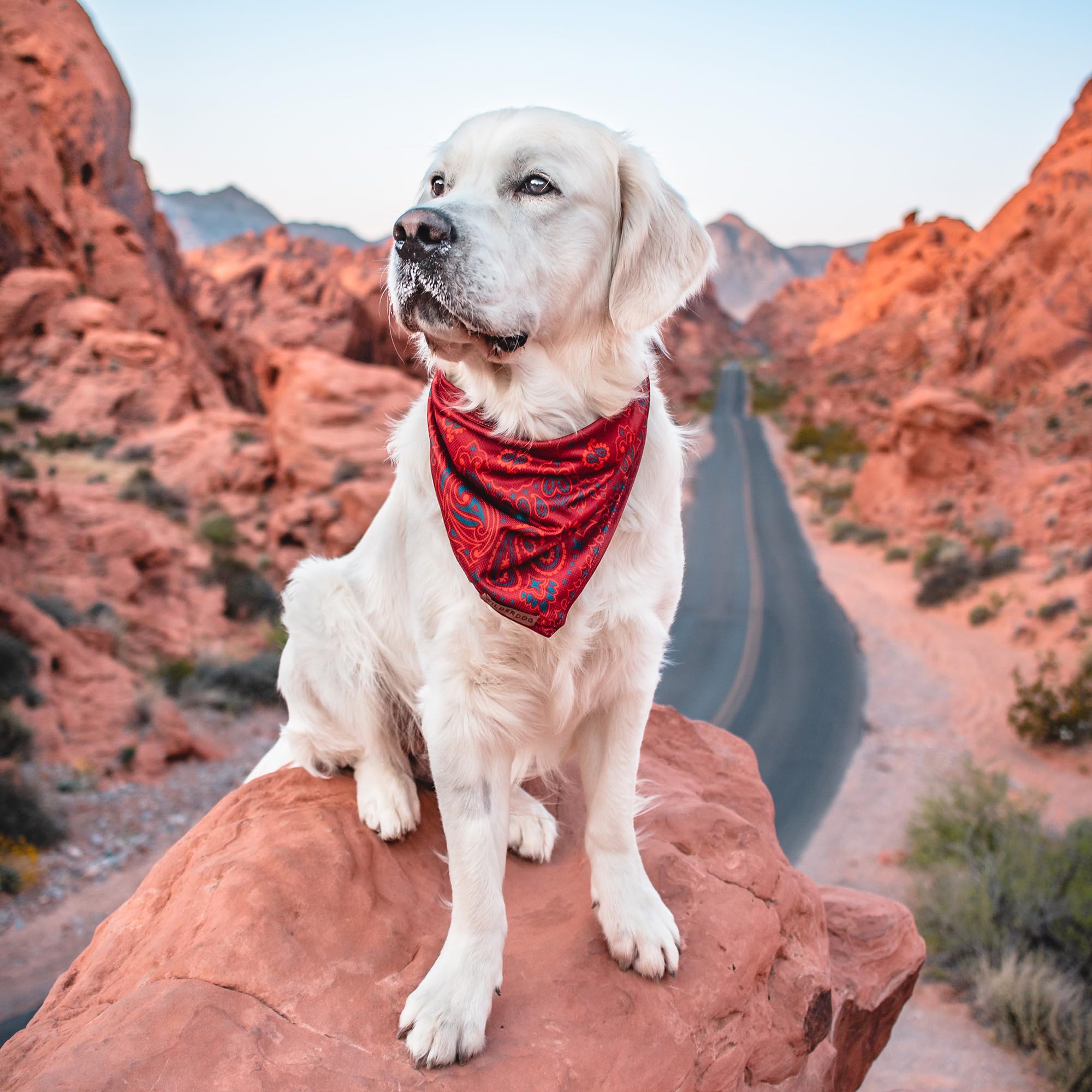 Bandana Wilderdog para viajes, tela transpirable para climas cálidos.