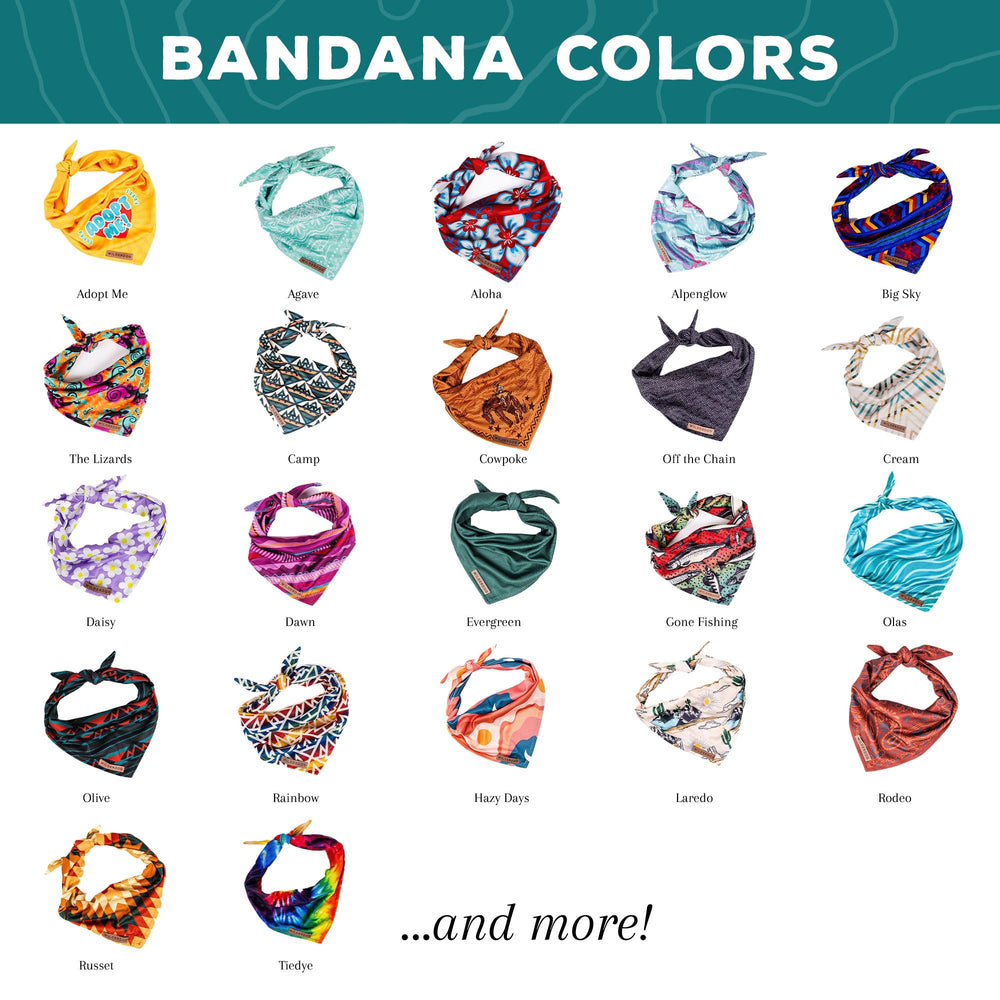 Bandana Wilderdog para perro, secado rápido, perfecta para paseos y juegos.