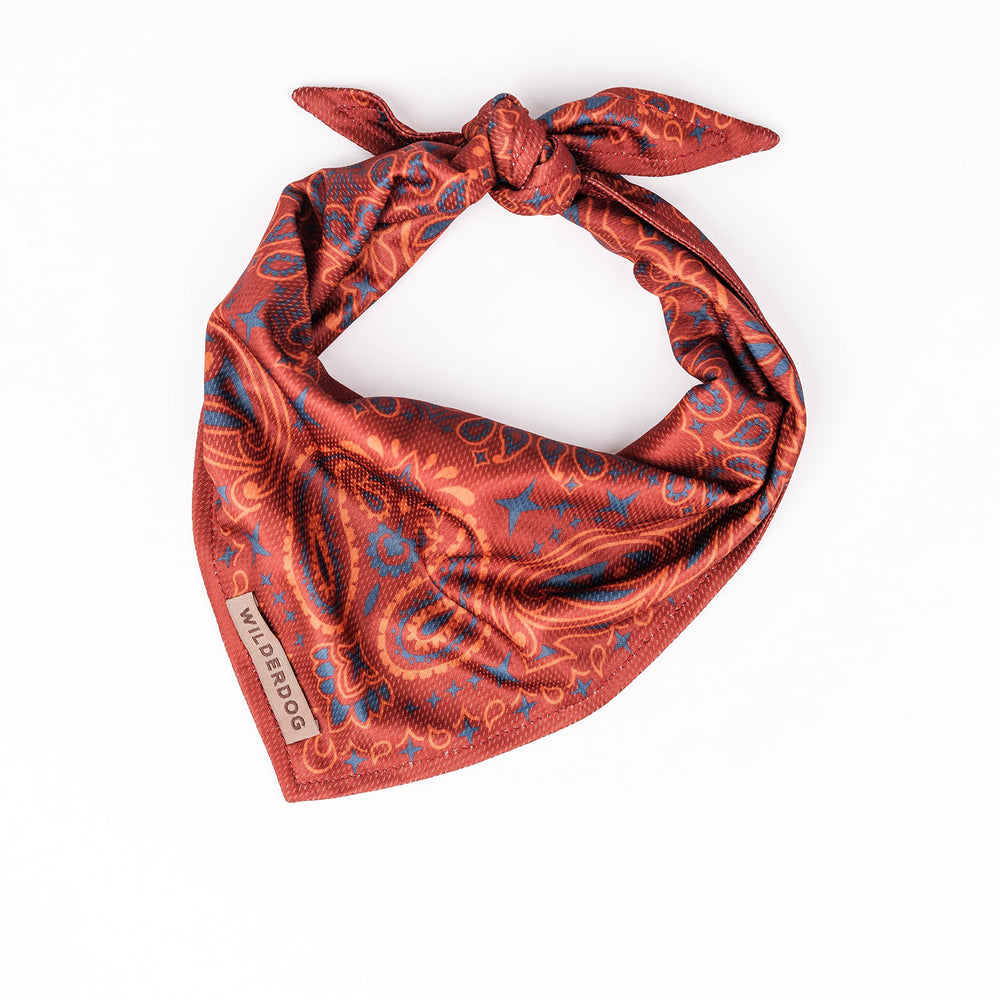Bandana Wilderdog para perro con malla ligera en color rodeo, ideal para salidas al aire libre.