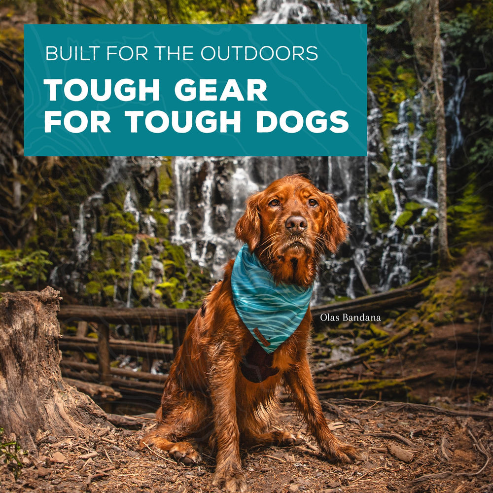 Bandana Wilderdog para uso diario al exterior, color rodeo.