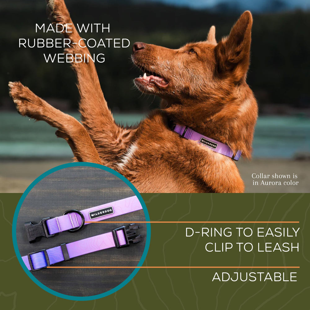 Collar Wilderdog con cierre ajustable para ajuste cómodo.