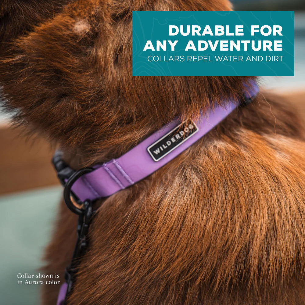 Collar Wilderdog diseño resistente para perros que se ensucian.