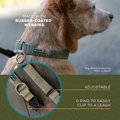 Collar Wilderdog diseñado para aguantar lodo, lluvia y nieve