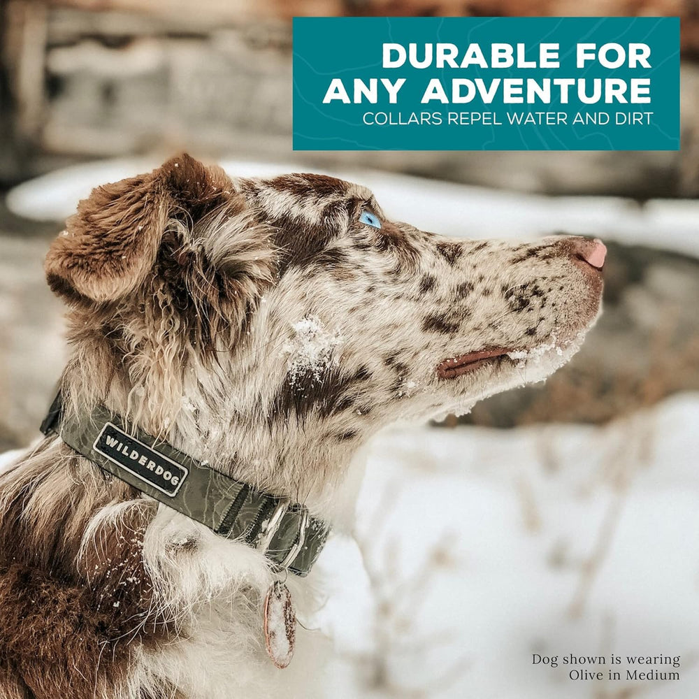 Collar Wilderdog repelente de suciedad y agua para perros activos