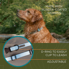 Collar Wilderdog de talla grande para cuellos de 17-24 pulgadas.