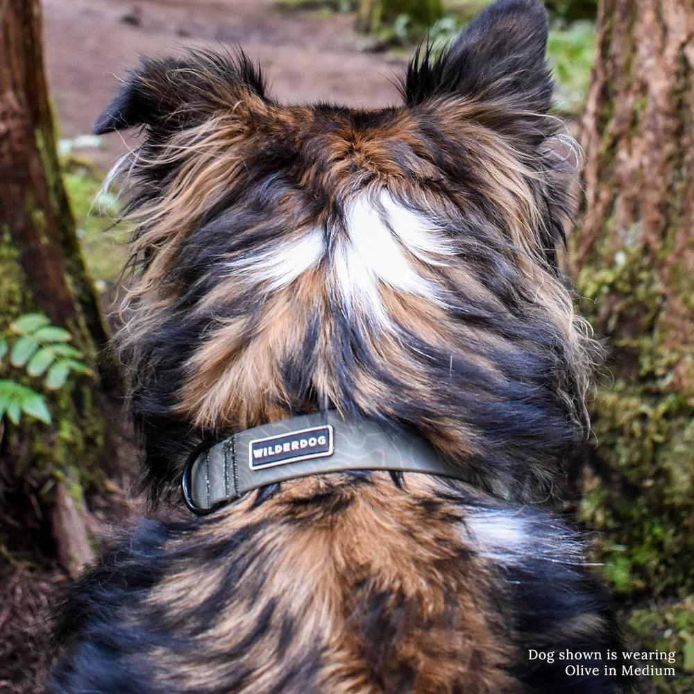 Collar Wilderdog ideal para uso exterior y vida al aire libre