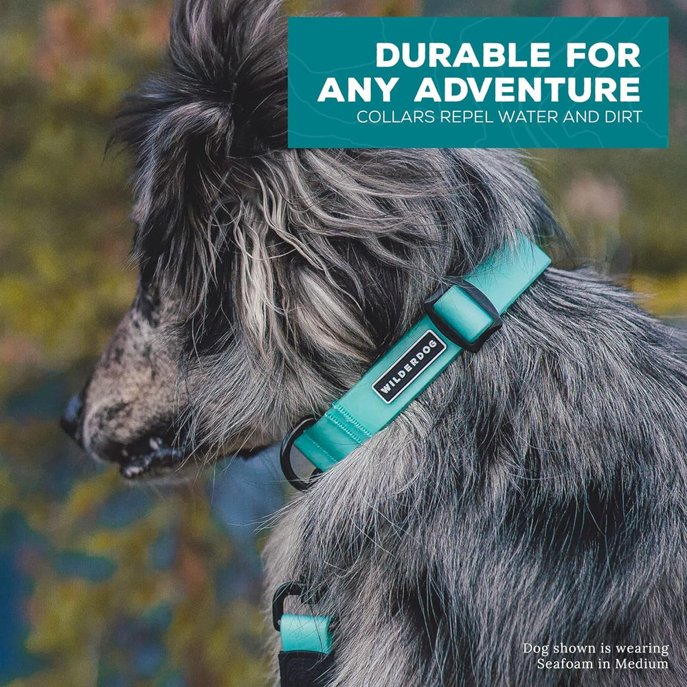 Collar Wilderdog para uso exterior y camping