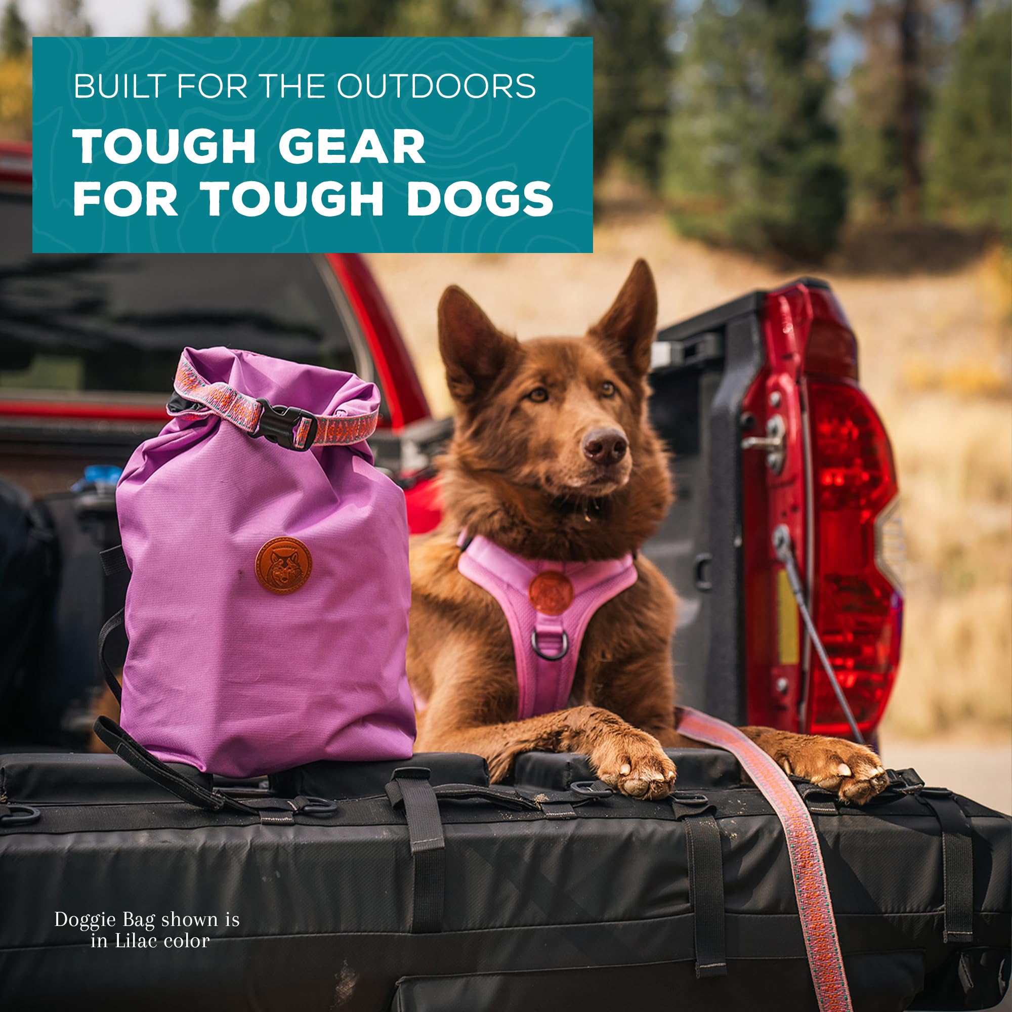 Bolsa Wilderdog lila, material resistente al agua para días de lluvia.