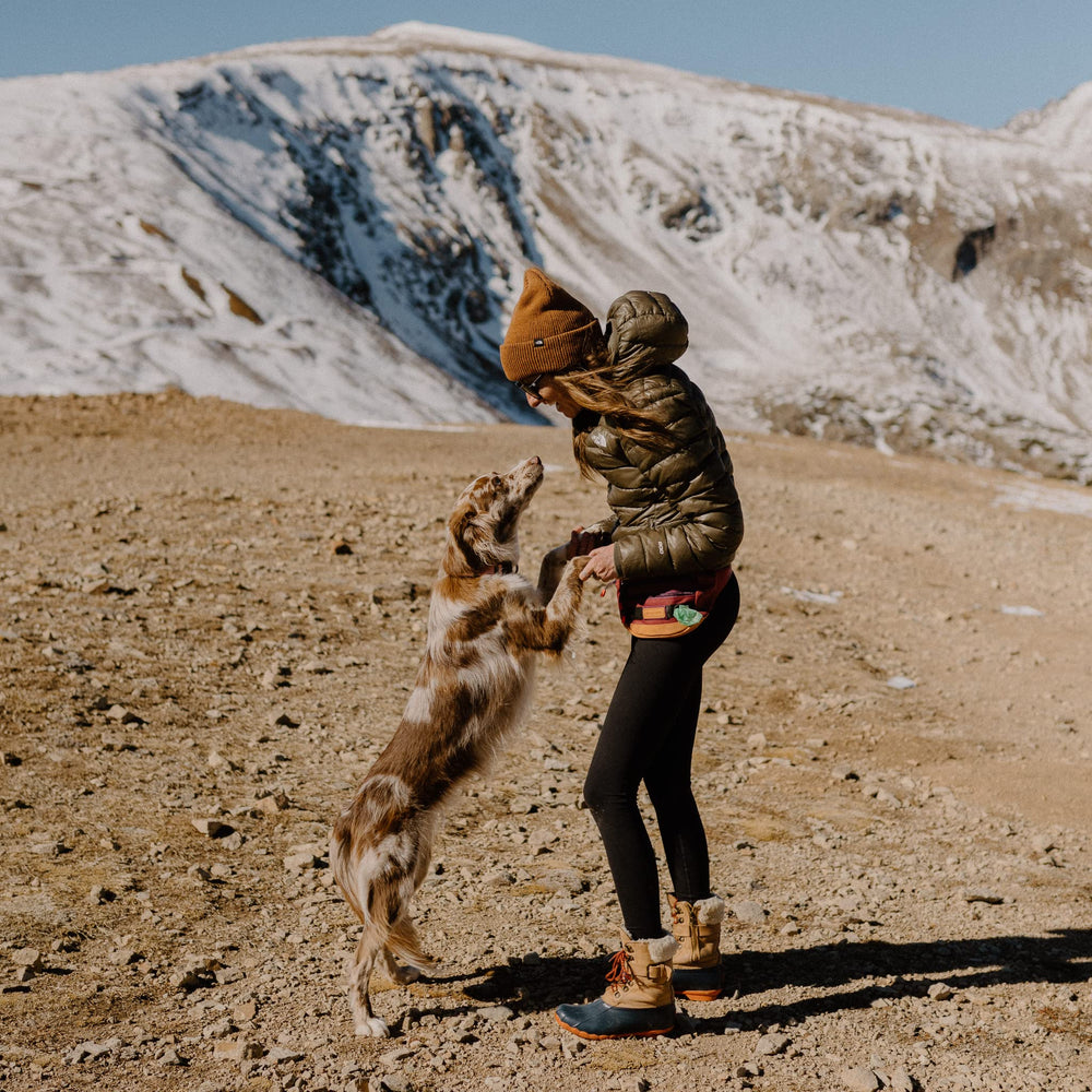 Correa ajustable Wilderdog Huckleberry para comodidad durante caminata