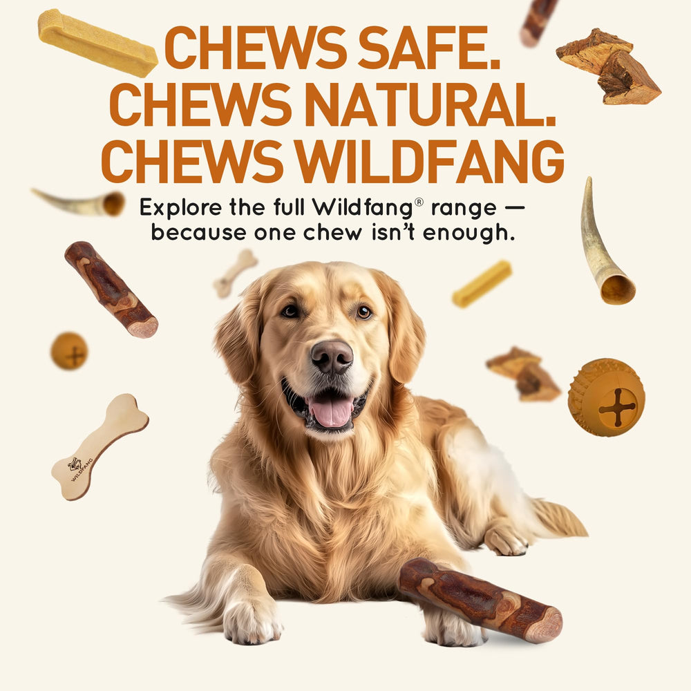 Wildfang tamaño pequeño: perfecto para perros menores de 33 libras.