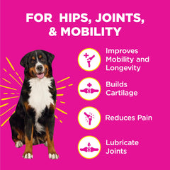 Mordiscos suaves con hemp de WildPaw WonderBites para movilidad.