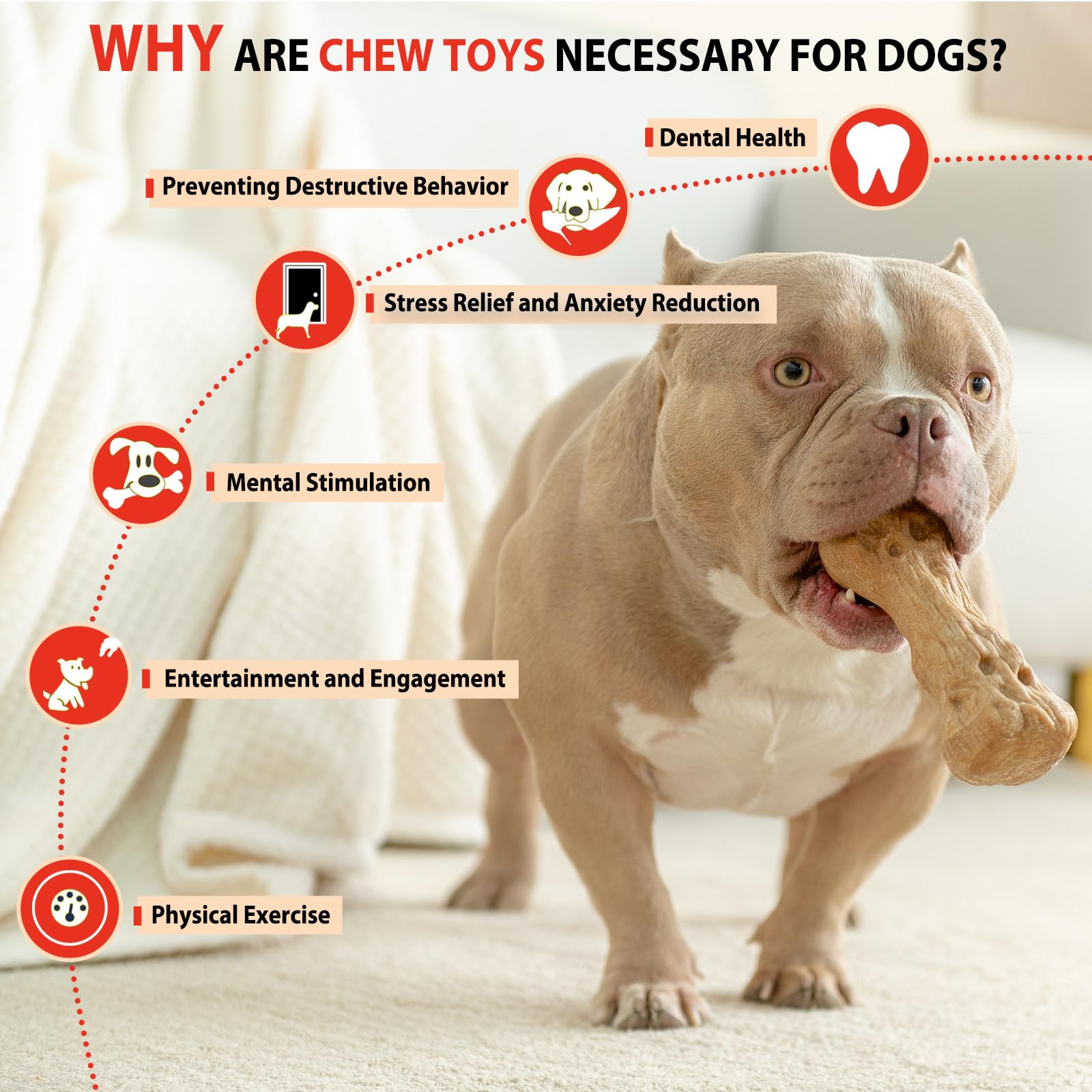 Willjoy resistente para perros grandes, mantiene ocupados a masticadores activos.