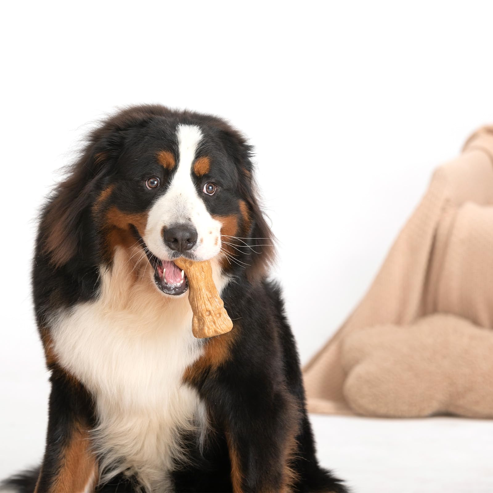 Willjoy uso en exterior para juego intenso y ejercicio diario.