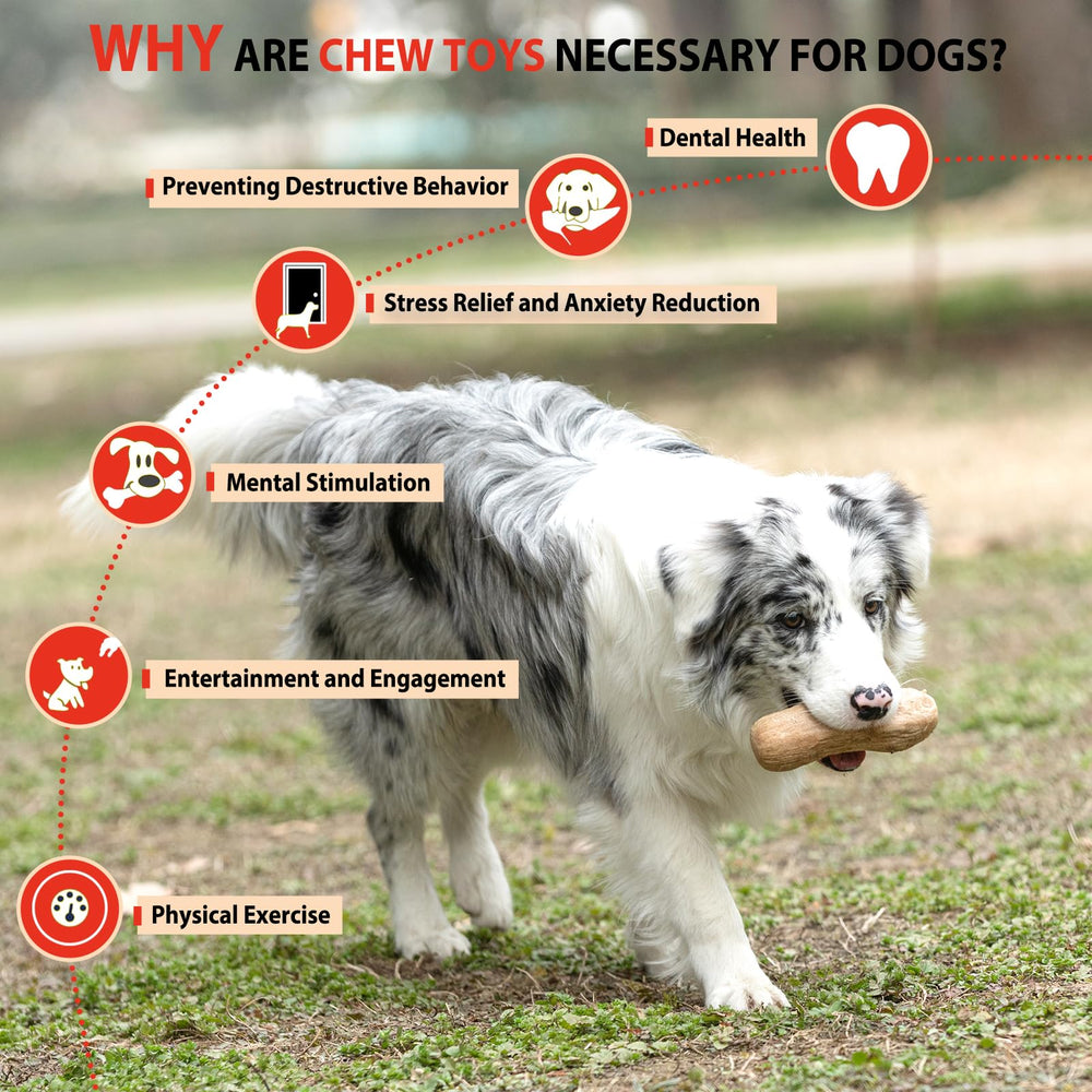 Willjoy regalo premium para perros con mordedores grandes