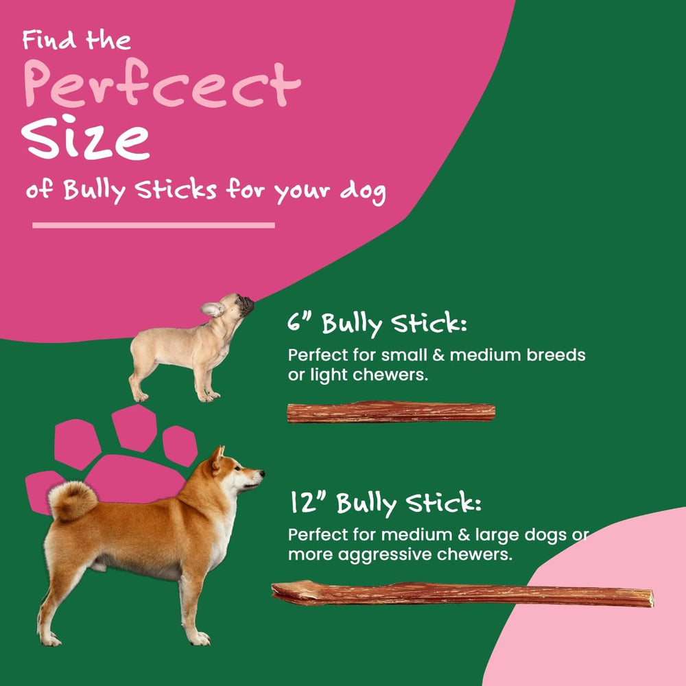 Willow & I Bully Sticks 12 pulgadas, perfecto para entrenamiento y recompensa.