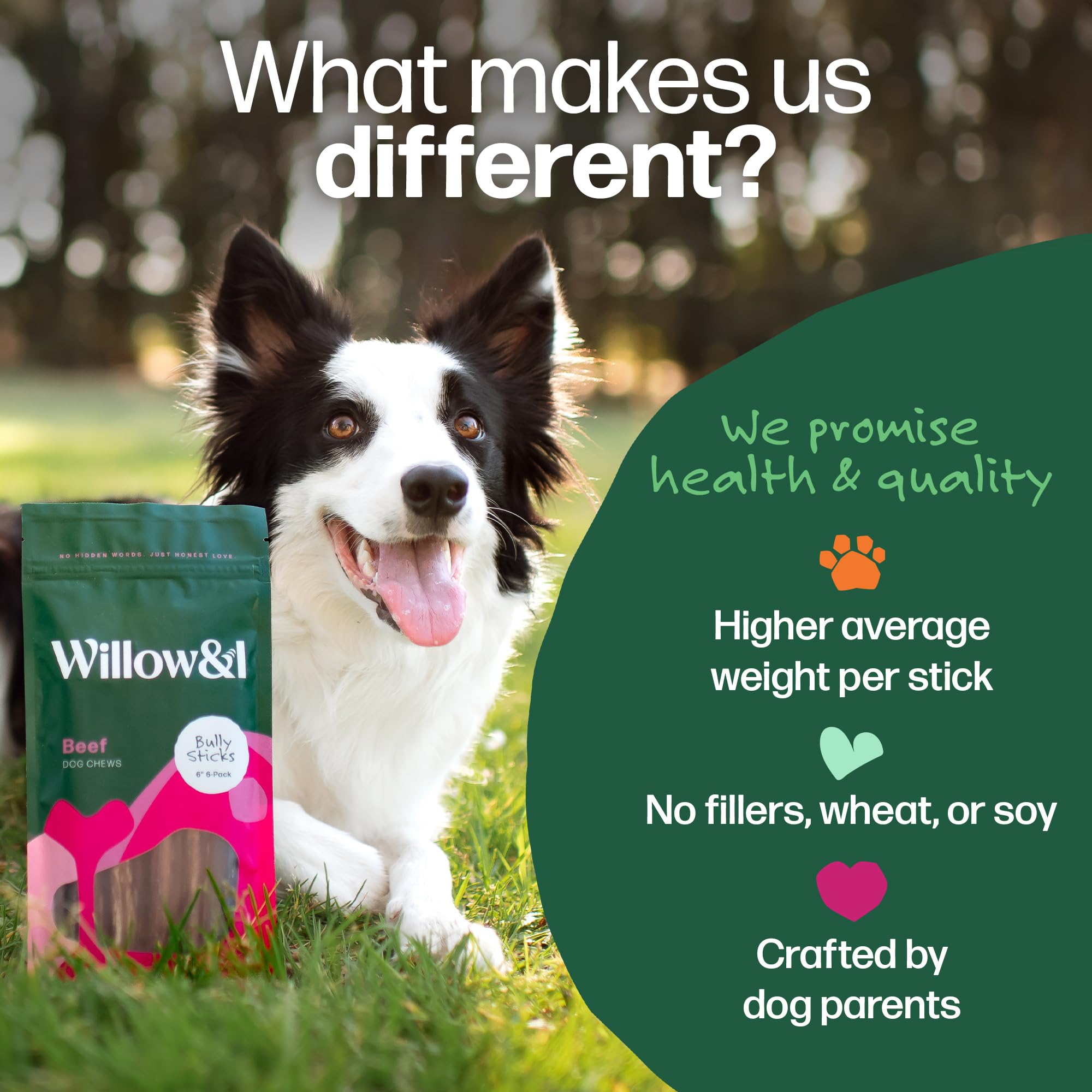 Willow & I Bully Sticks 12 pulgadas, sabor natural para perros.