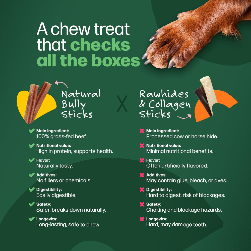 Willow & I palitos bully sin piel cruda, alternativa natural a productos tradicionales.