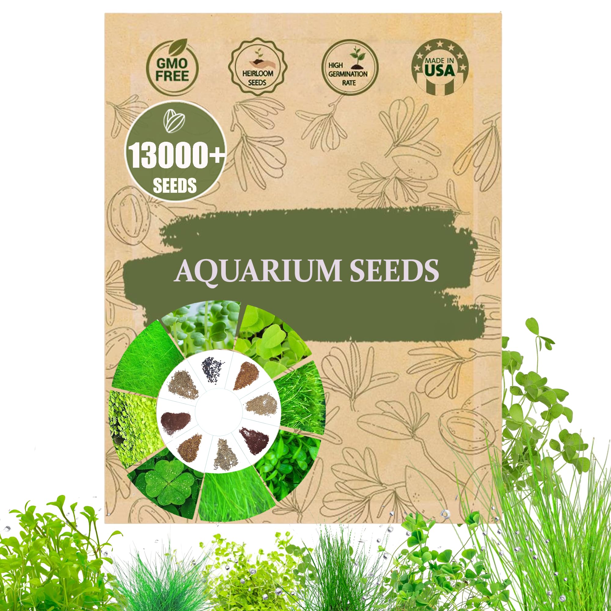 Wily Fox: semillas mezcla premium para plantas acuáticas, cobertura verde en el acuario.