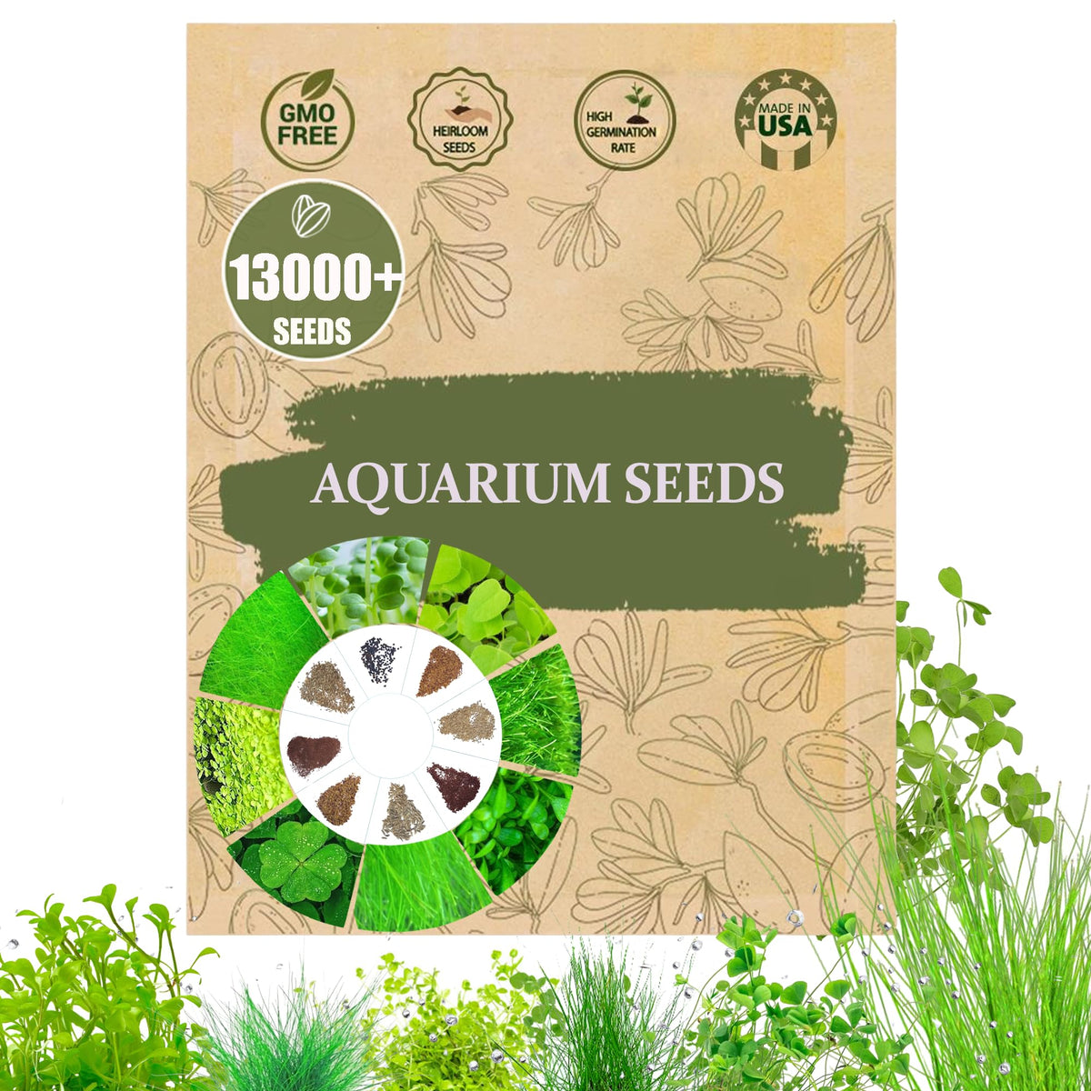 Wily Fox: semillas mezcla premium para plantas acuáticas, cobertura verde en el acuario.