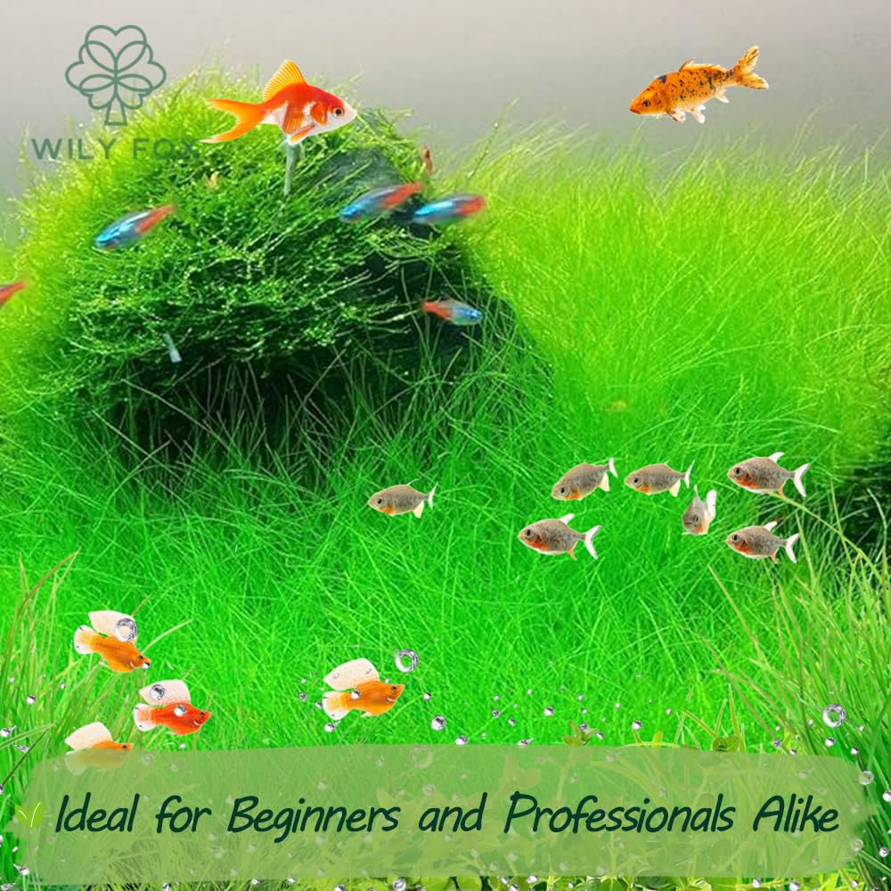 Wily Fox: vegetación verde para jardines acuáticos, realza estética y hábitats.