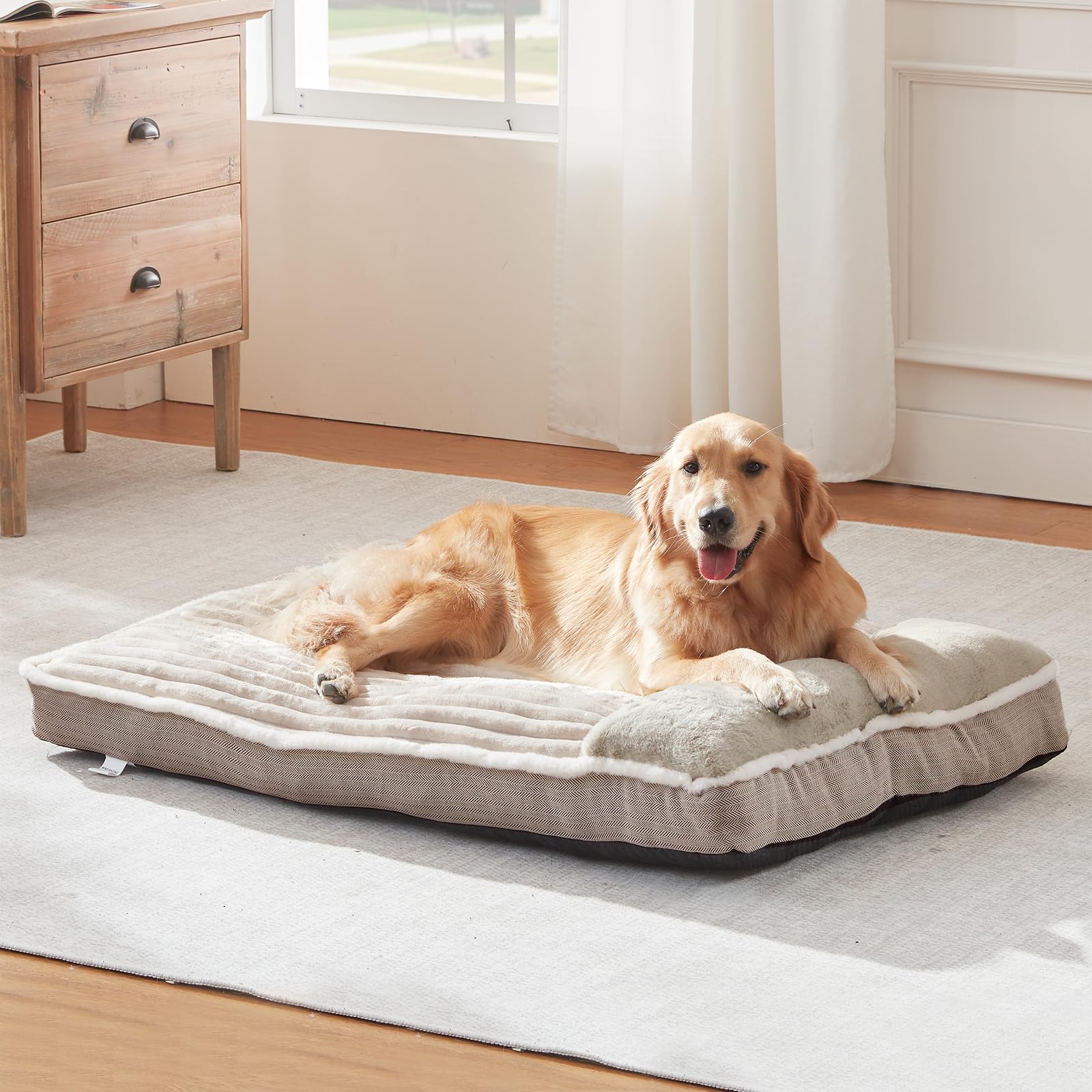 Cama WINDRACING para perros grandes con soporte de espuma cómodo para dormir