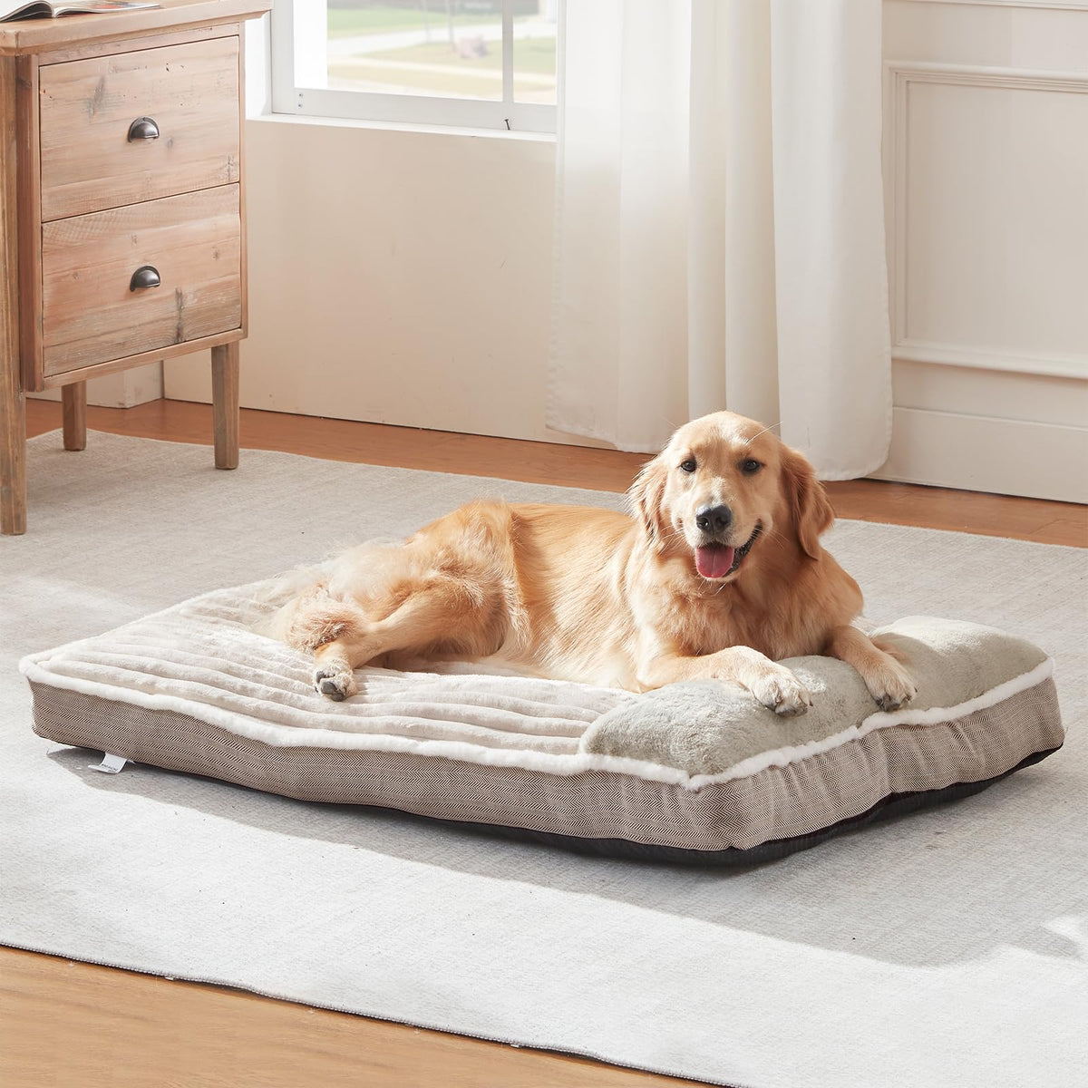 Cama WINDRACING para perros grandes con soporte de espuma cómodo para dormir