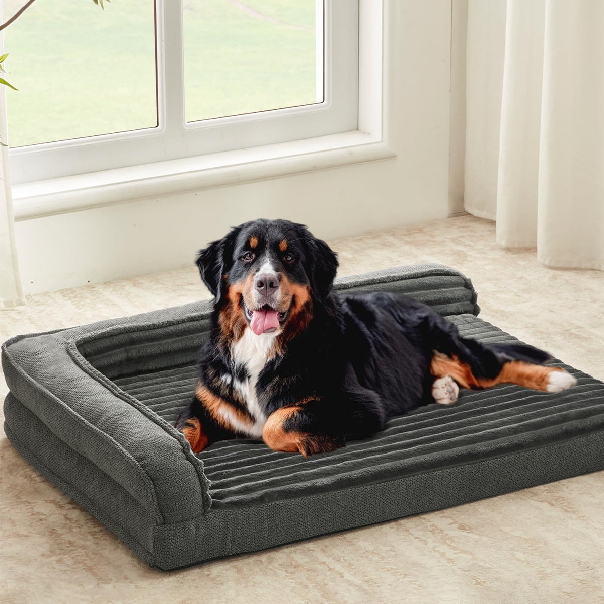 WindRACING cama ortopédica XXLarge gris ofrece soporte para articulaciones y descanso.