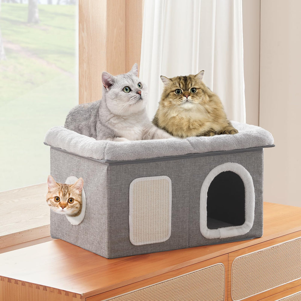 Windracing rascador-y-sisal: satisface el deseo de rascar y protege muebles.